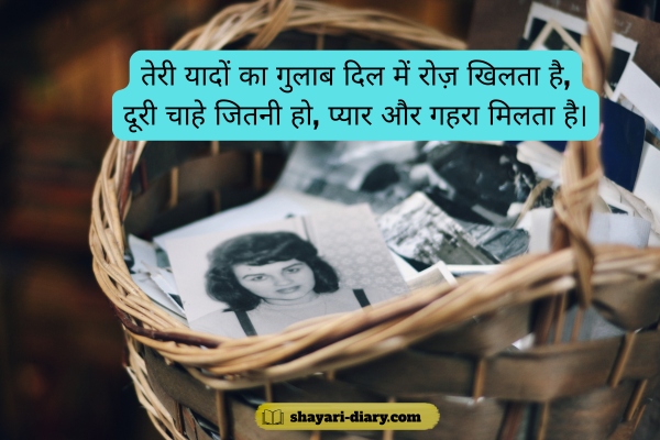 Gulab shayari 2 lines Hindi love