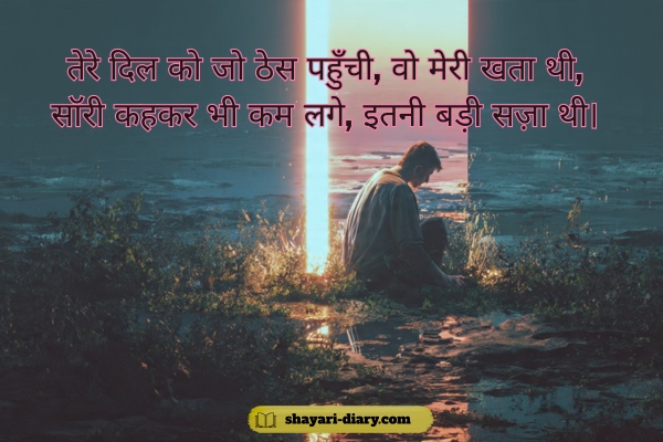 Love sorry shayari in Hindi